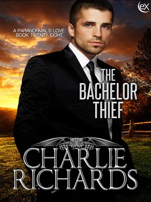 cover image of The Bachelor Thief